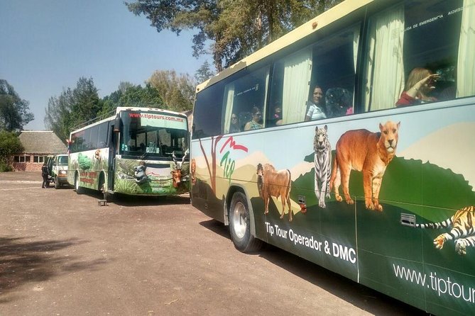 Africam Safari Zoo Admission With Transportation - Inclusion of Transportation From Puebla