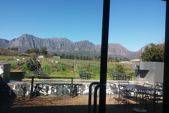 African Big 5 Full Day Safari Aquila Game Reserve From Cape Town - The Sum Up