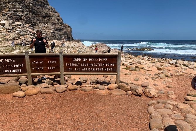 African Penguins, Cape Point & Constantia Wine Tasting Full Day Tour. - Tour Highlights