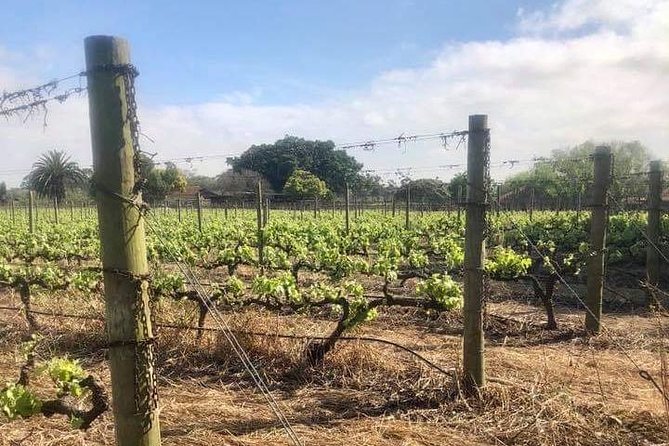 African Story Wine Tours in the Cape Winelands - Tour Details and Pick-up Locations