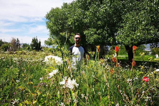 African Story Wine Tours in the Cape Winelands - Tips for a Memorable Wine Tour Experience