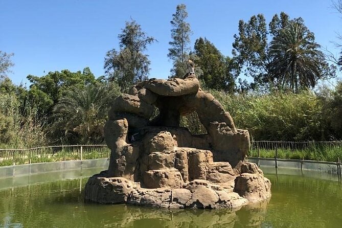 Africano Park Alexandria Safari From Cairo - Good To Know