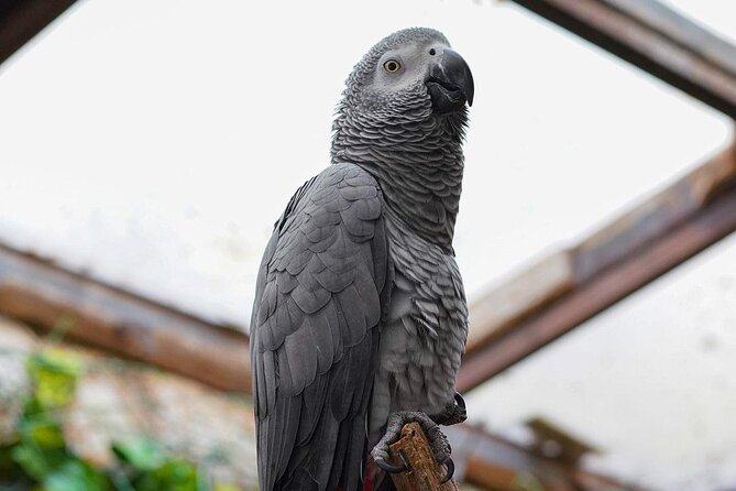 Africano Park Alexandria Safari From Cairo - Itinerary Overview