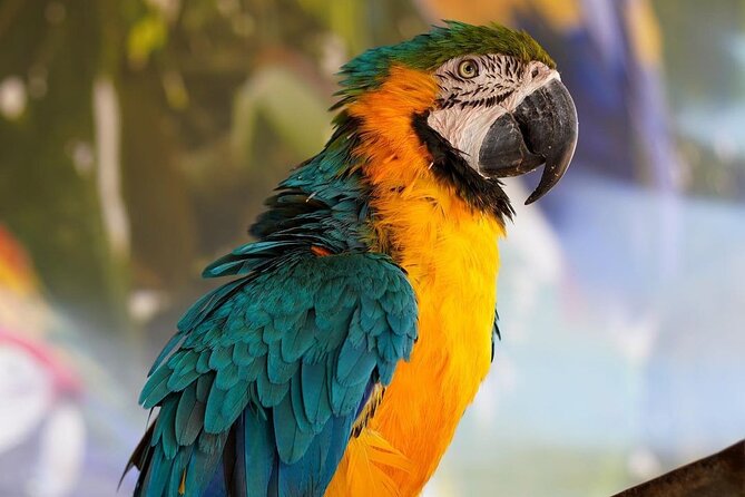 Africano Park Alexandria Safari From Cairo - Pricing and Reservation