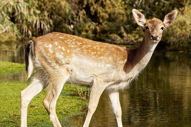 Africano Park Alexandria Safari From Cairo - Location and Accessibility