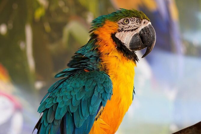 Africano Park Alexandria Safari From Cairo - Safari Experience Highlights