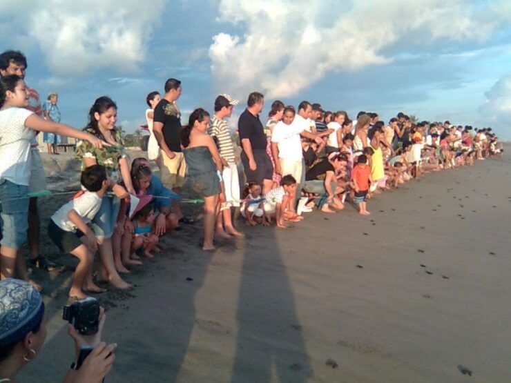 *Afro-Mex Village Horse Ride, Turtle Release Crocodile Farm - Activity Details
