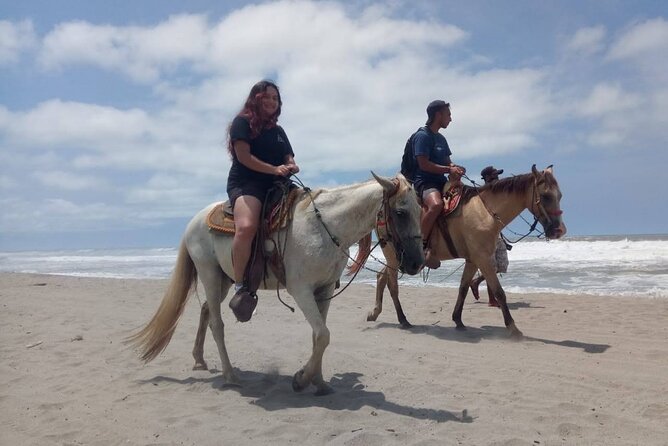 AfroMex Village Beach Horseback Baby Turtle Release & Crocs Farm - Additional Information