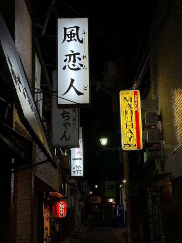After Dark in Nara: Hidden Bars & Nightwalks with the Locals - Good To Know