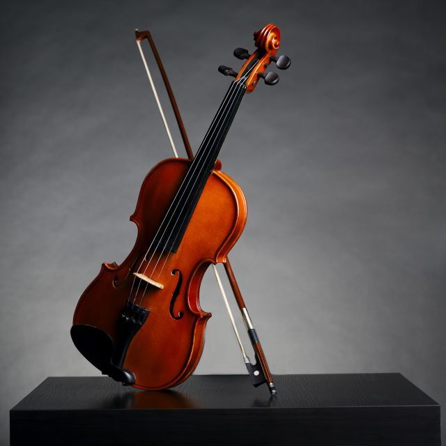 Afternoon Access to Accademia Gallery: David & Stradivarius - Activity Details
