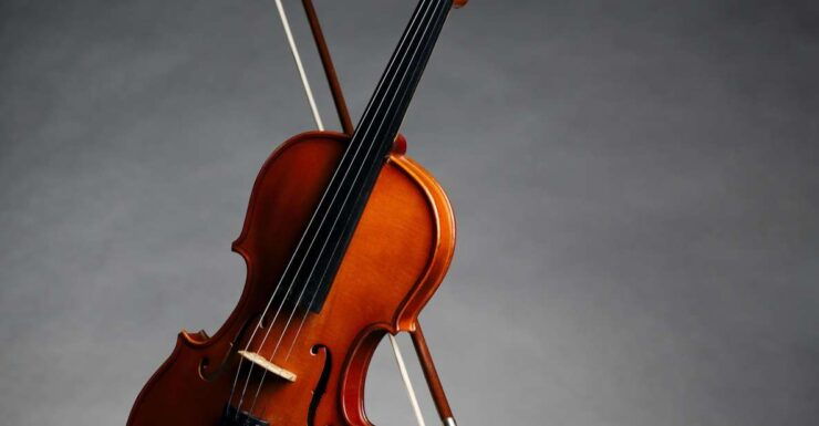 Afternoon Access to Accademia Gallery: David & Stradivarius - Experience Highlights