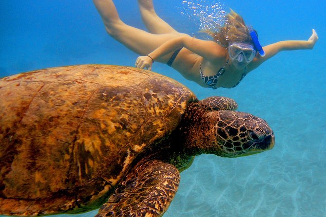Afternoon Adventure Snorkel From Kaanapali - Overview and Activity Details