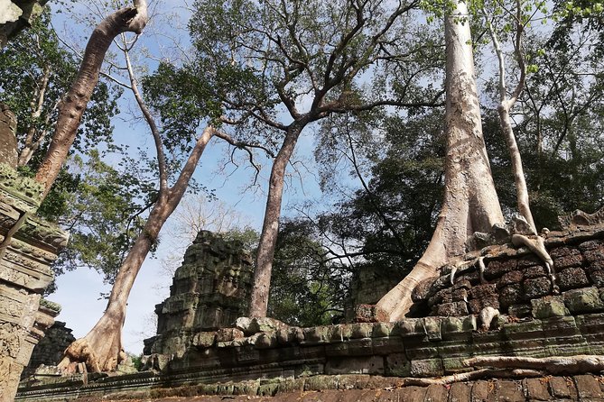 Afternoon Angkor Wat Private Tour With Sunset - Final Recommendations