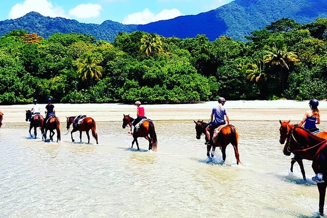 Afternoon Beach Horse Ride in Cape Tribulation - Pickup and Drop-off Service
