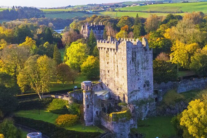 Afternoon Blarney Castle and Cobh Half Day Tour from Cork - What’s Included and How It Works