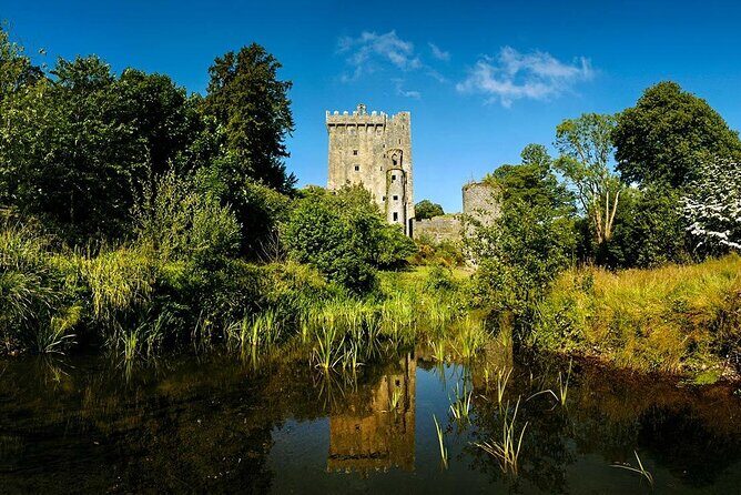 Afternoon Blarney Castle and Cobh Half Day Tour from Cork - Transportation and Group Size