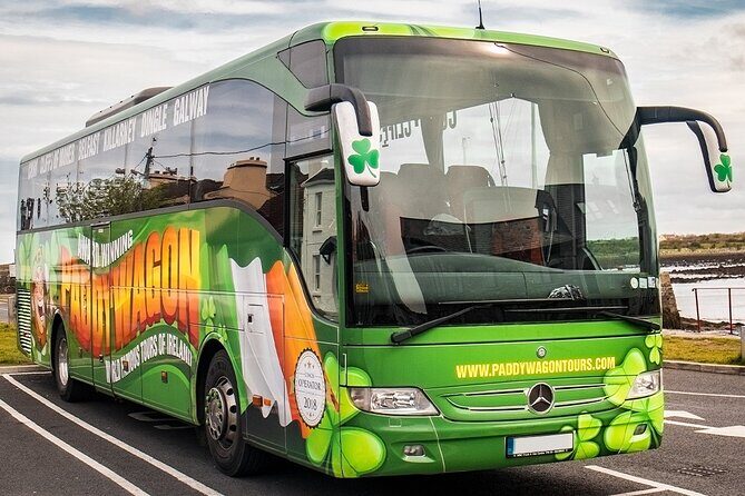 Afternoon Blarney Castle and Cobh Half Day Tour from Cork - The Cost and Value