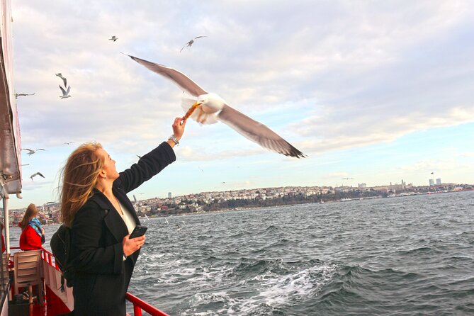 Afternoon Bosphorus Cruise ((3 Hours)) - Iconic Landmarks Along the Route