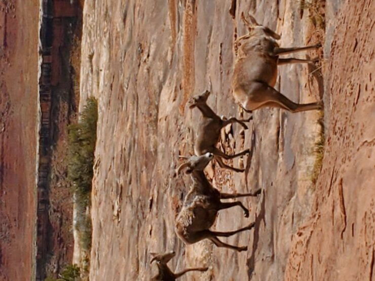 Afternoon Canyonlands Island In The Sky 4X4 Tour - Exploring the Island in the Sky District