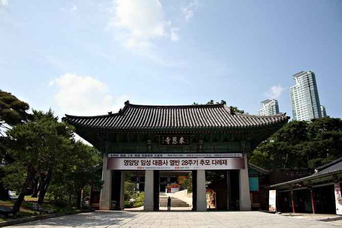 Afternoon Coex Aquarium, Han River Cruise Tour - Tour Highlights