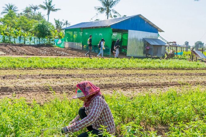 Afternoon Cooking Class & Village Tour in Siem Reap - Inclusions and Pickup Information
