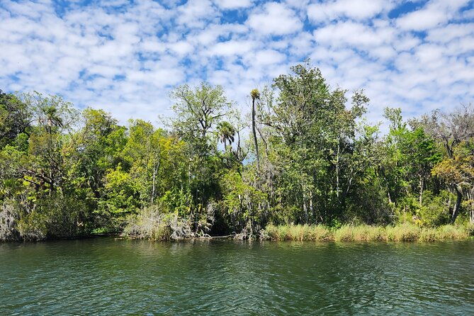 Afternoon Crystal River Ecological Boat Tour - A Closer Look at the Experience