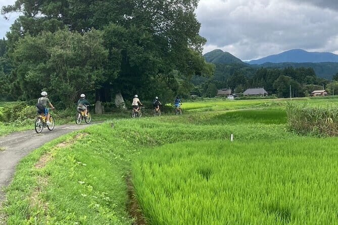 Afternoon Cycling Tour in Naruko - A Closer Look at the Itinerary