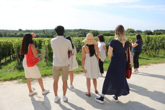 Afternoon Delight : A Wine Tour - Group Size and Includes