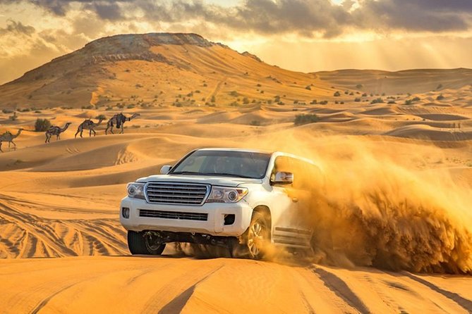 Afternoon Desert Safari With BBQ Dinner - Reviews and Ratings