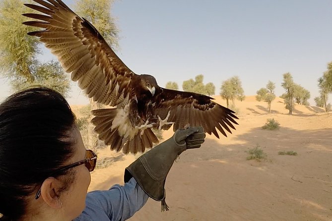 Afternoon Dubai Falconry Safari - Booking and Tour Details