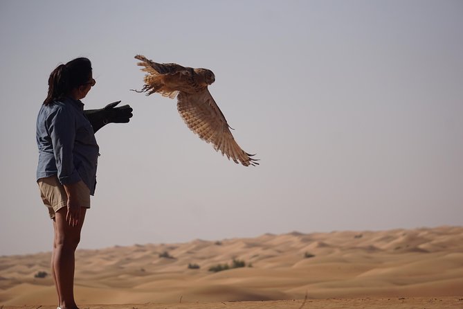 Afternoon Dubai Falconry Safari - Cancellation Policy