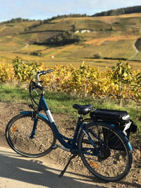 Afternoon E-Bike Champagne Tour From Reims - Tour Booking Information