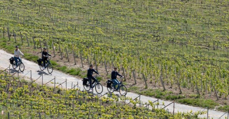 Afternoon E-Bike Champagne Tour From Reims - Tour Highlights