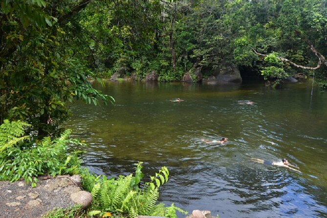 Afternoon & Evening Tour of Paronella Park - Unforgettable Experiences at Paronella Park