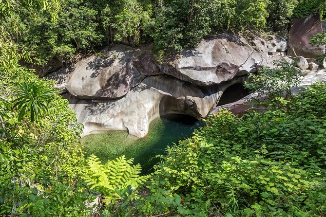 Afternoon & Evening Tour of Paronella Park - Practical Information and Booking Details