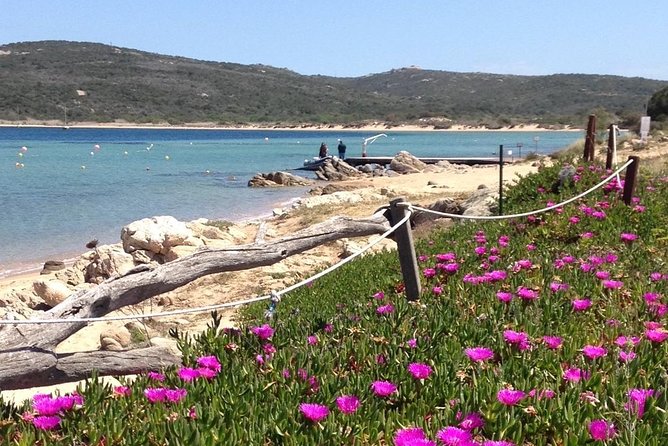 Afternoon Excursion (15: 00/19: 00) by Rubber Boat in the Archipelago of La Maddalena. - Additional Information