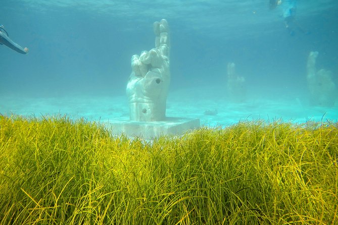 Afternoon Half-Day Catmaran Sailing and Snorkel Adventure - Cancellation Policy and Reviews
