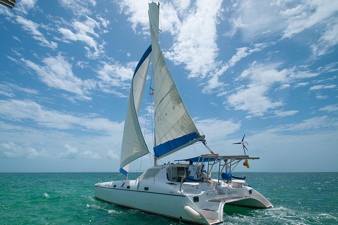 Afternoon Half-Day Catmaran Sailing and Snorkel Adventure - Background