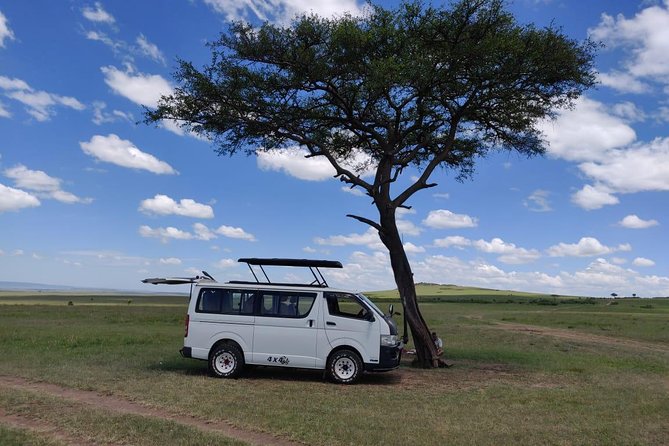 Afternoon Half Day Mini Safari to Nairobi National Park - Tour Highlights