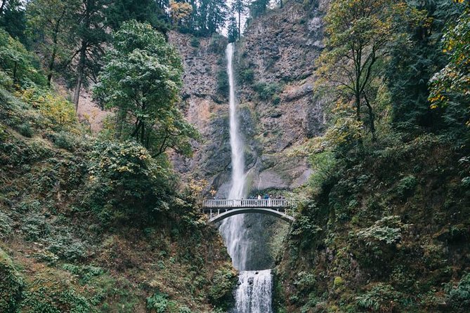 Afternoon Half-Day Multnomah Falls and Columbia River Gorge Waterfalls Tour From Portland - Tour Overview