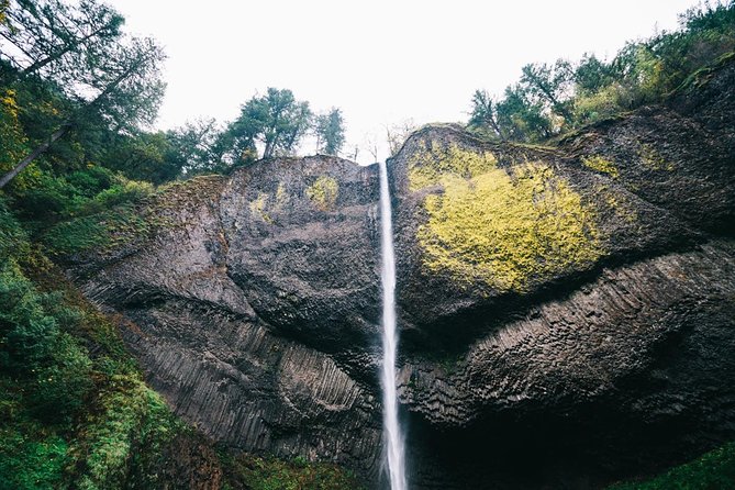 Afternoon Half-Day Multnomah Falls and Columbia River Gorge Waterfalls Tour From Portland - The Sum Up