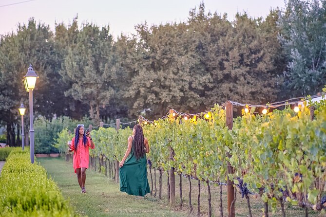 Afternoon in Siena and Chianti Wine Tour With Dinner From Florence - Customer Feedback on Tour Organization and Guide Skills