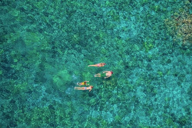 Afternoon Kealakekua Snorkel Tour - Common Questions
