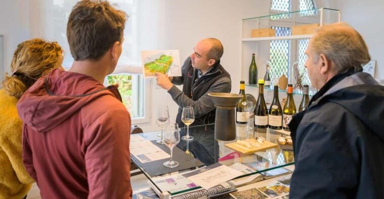 Afternoon - Loire Valley Wine Tour From Tours or Amboise - Wine Tasting Experience