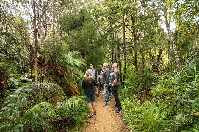 Afternoon Piha Beach and Rainforest Tour From Auckland - Worthiness of the Tour