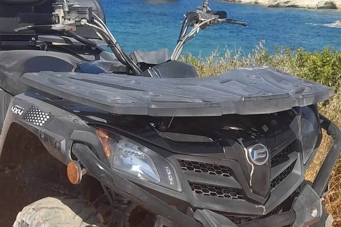 Afternoon Quad and Buggy Tour to Adonis Falls Approx 2 Hours - Frequently Asked Questions