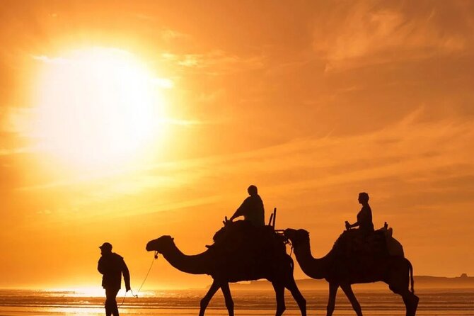 Afternoon Safari Adventure in Dubai With Dinner - Tour Details