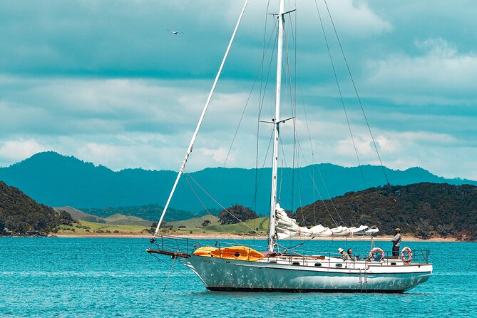 Afternoon Sail - Bay of Islands Vigilant Yacht Charters - Bay of Islands Highlights