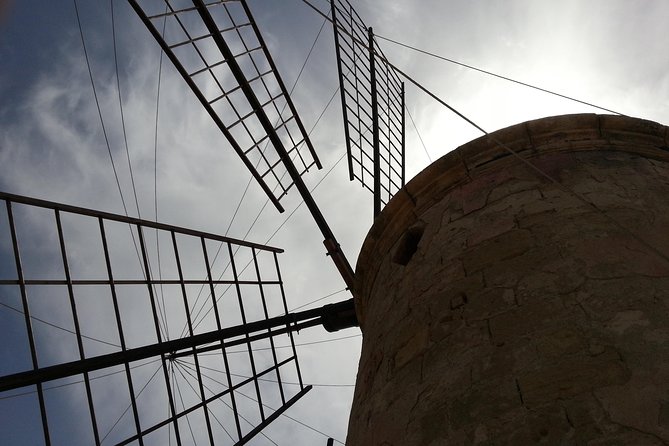 Afternoon Saline Tour - Reviews