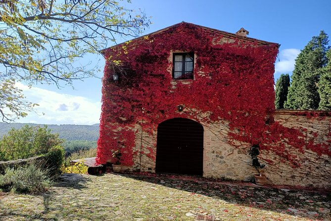 Afternoon Semi Private Chianti Tour From Siena - Refund Policy